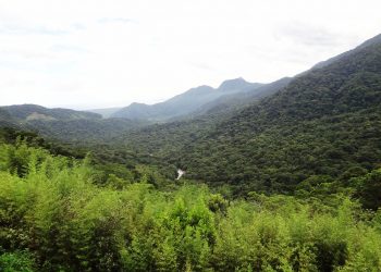 Marco temporal pode devastar até 55 milhões de hectares, alerta pesquisa