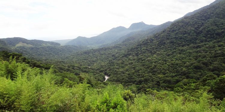 Marco temporal pode devastar até 55 milhões de hectares, alerta pesquisa