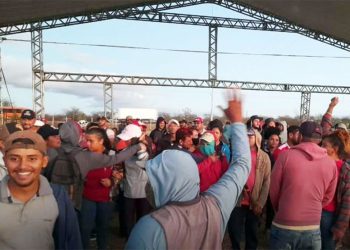 MST volta a invadir área da Embrapa e acusa governo Lula de não cumprir acordo