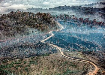 Sob governo Lula, Amazônia registra em junho maior número de queimadas em 16 anos