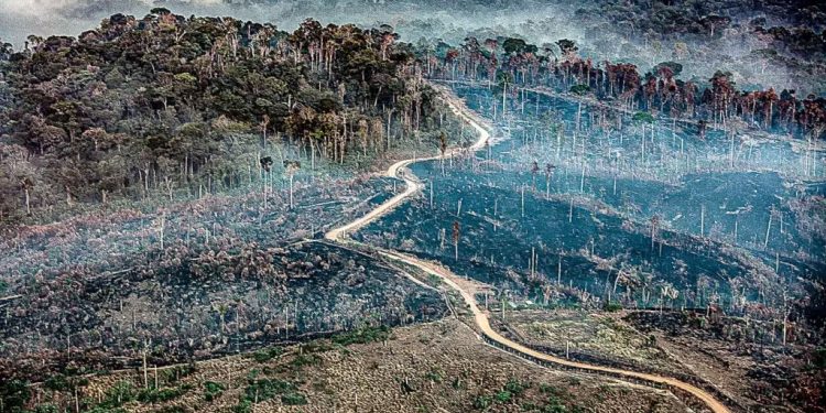 Sob governo Lula, Amazônia registra em junho maior número de queimadas em 16 anos
