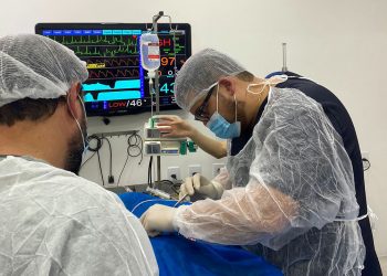 Veterinários da Zoonoses de Ipatinga passam por capacitação no CPT, em Viçosa
