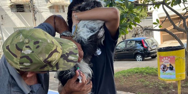 Ipatinga já vacinou mais de 4,6 mil cães e gatos