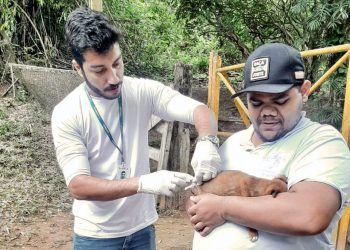 Ipatinga inicia Campanha de Vacinação de cães e gatos na Zona Urbana