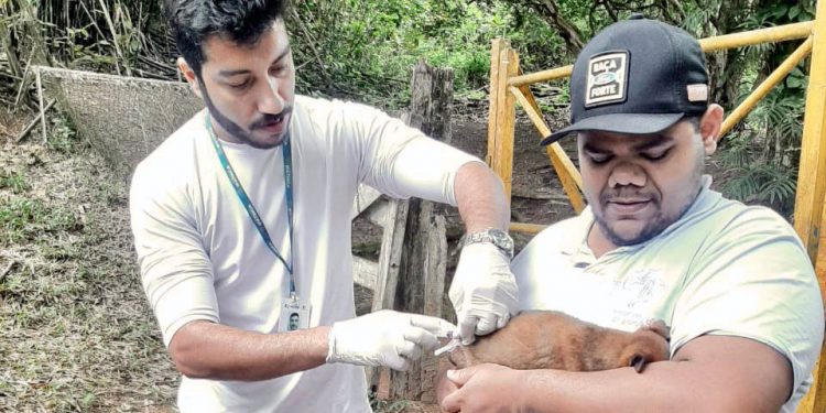 Ipatinga inicia Campanha de Vacinação de cães e gatos na Zona Urbana
