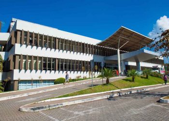 FSFX recebe inscrições para o Programa de Estágio de Férias 2024