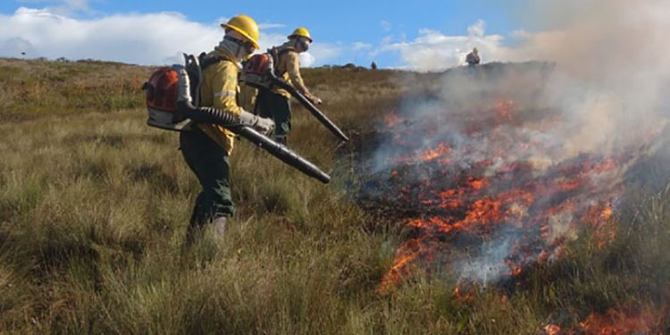 Onda de calor em MG pode superar os 39°C e aumentar o risco de incêndios florestais