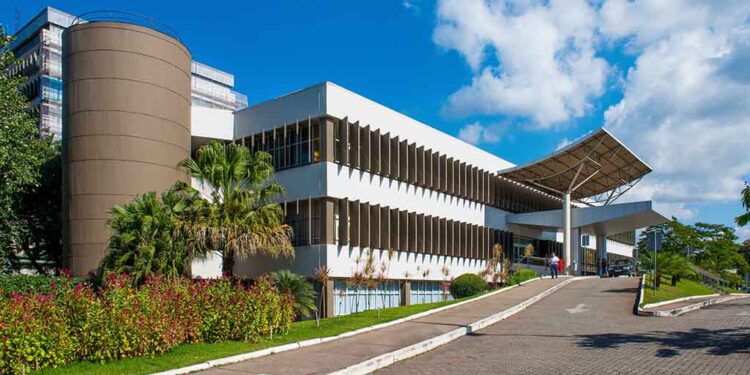 FSFX celebra Dia do Médico e destaca a excelência realizada por seus profissionais