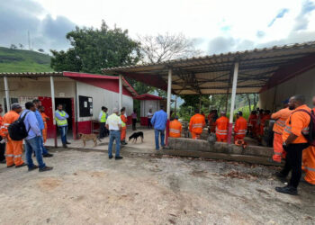 Dnit e gestora ambiental realizam ações ambientais com trabalhadores da BR-381/MG