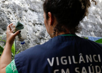 Minas Gerais deve atingir pico de casos de dengue em março