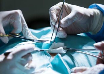 Saiba como funciona a fila por transplante de órgãos