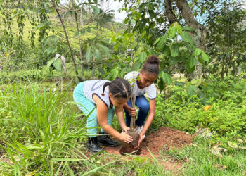 Programa da Usiminas recupera nascentes e transforma vida de comunidade