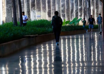 Professores de institutos e universidades federais entram em greve