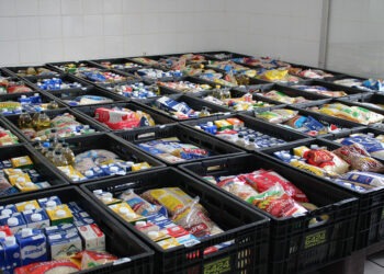 Aciapi-CDL e Sebrae entregam alimentos arrecadados na Feiraço 2024