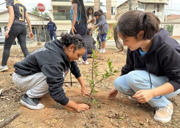 Usiminas promove plantio de mudas em parceria com escola de Ipatinga