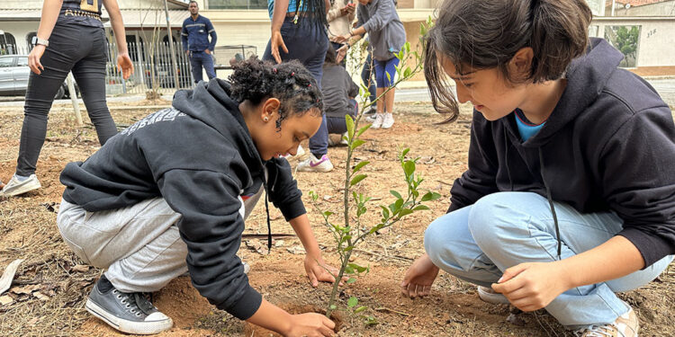 Usiminas promove plantio de mudas em parceria com escola de Ipatinga