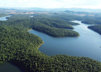 Perd completa 80 anos celebrando a preservação ambiental