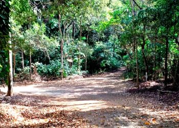 Primeira edição do Cross Country Usipa promete agitar o Vale do Aço