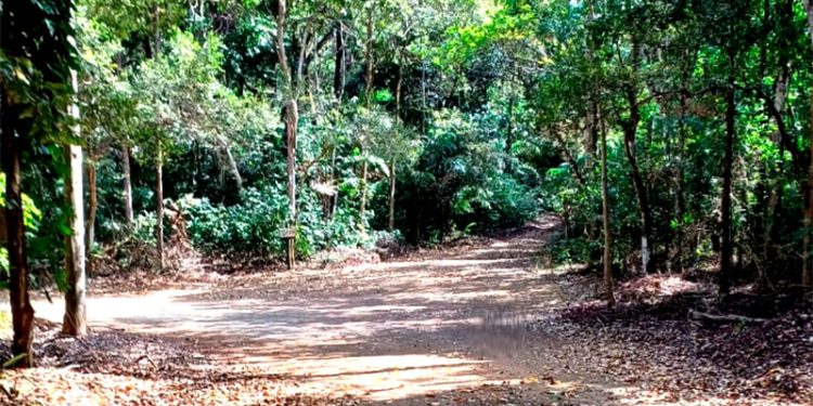 Primeira edição do Cross Country Usipa promete agitar o Vale do Aço