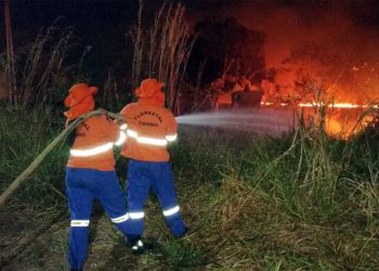 Incêndios florestais disparam e afetam milhões de brasileiros