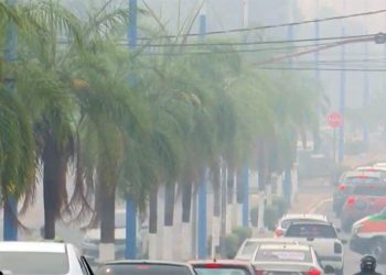 Fumaça de queimadas sufoca o Brasil e avança para países vizinhos