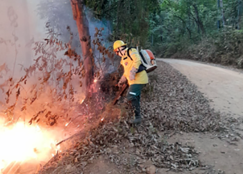 Incêndio no Sul do Perd é contido após intensos esforços