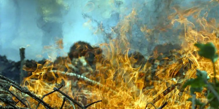 Prisões por incêndios florestais disparam em Minas Gerais