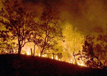 Amazônia: queimadas disparam emissão de gases do efeito estufa