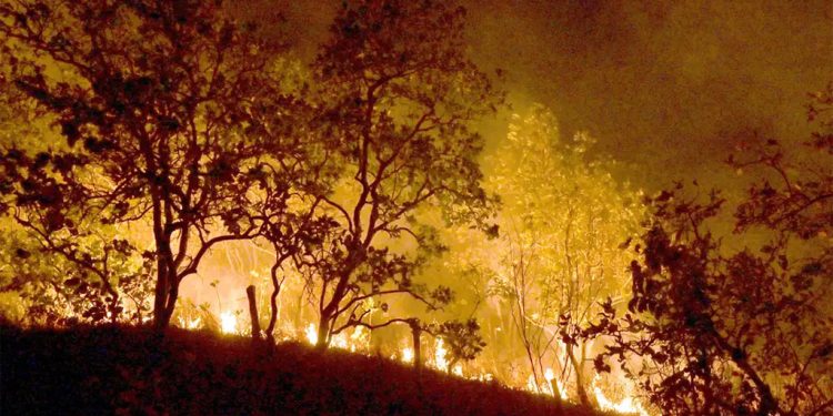 Amazônia: queimadas disparam emissão de gases do efeito estufa
