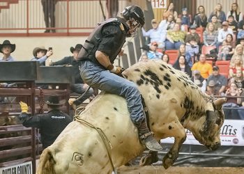 Rodeio de Timóteo retorna após cinco anos com shows e montarias