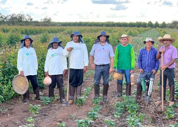 Aperam BioEnergia ganha Selo por incentivar agricultura sustentável