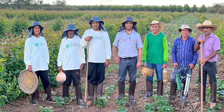 Aperam BioEnergia ganha Selo por incentivar agricultura sustentável