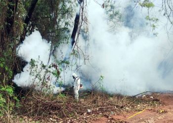 Ipatinga reforça combate às arboviroses durante o período chuvoso
