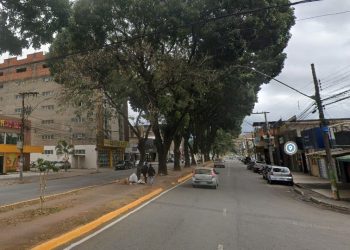 Avenida Macapá, em Ipatinga, será fechada para poda de árvores