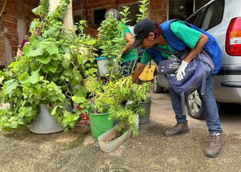 Ipatinga realiza “Dia D” contra a dengue neste sábado