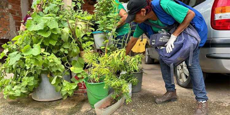 Ipatinga realiza “Dia D” contra a dengue neste sábado