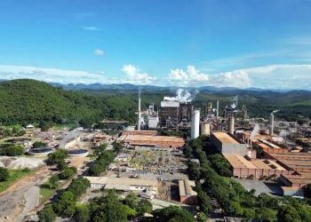 Saiba quais são as maiores empresas do setor de papel e celulose no Brasil