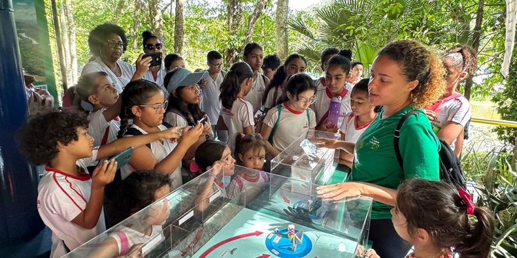 Últimos dias para visitar o Projeto Xerimbabo Usiminas