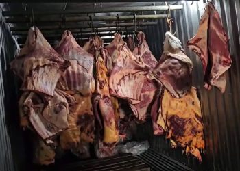 Empresa revendia carne que estragou durante enchentes no Sul
