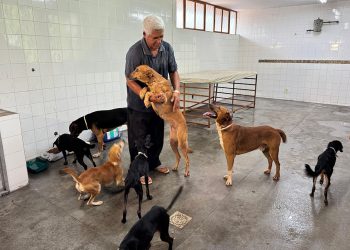 Prefeitura de Ipatinga cria abrigo temporário para pets de desabrigados