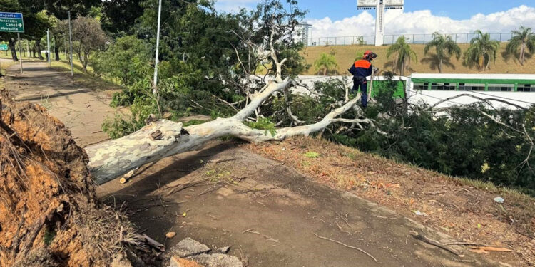 Temporal causa estragos em diversos bairros de Ipatinga