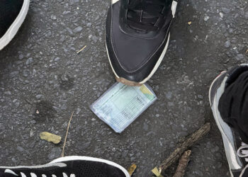 Perdeu documentos durante o Carnaval? Saiba como solicitar a segunda via