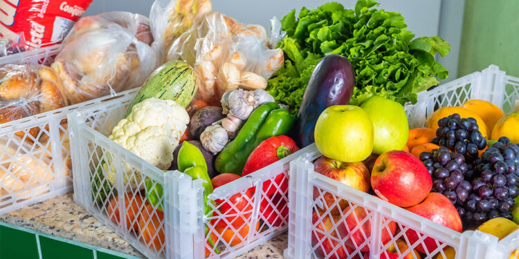 Ipatinga lança seu 1º Plano de Segurança Alimentar na próxima terça