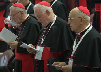 Cardeais traçam perfil do futuro Papa e pedem compromisso com paz e reformas