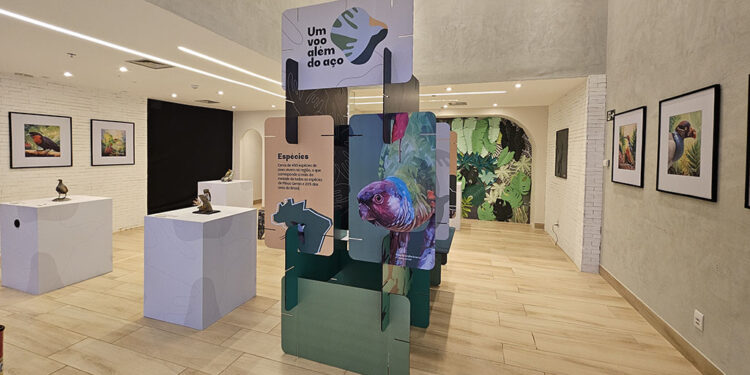 Exposição sensorial sobre aves da Mata Atlântica chega ao Shopping do Vale do Aço