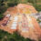 Novas moradias populares garantem expansão habitacional em Fabriciano