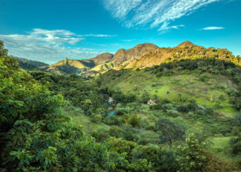 Ipatinga promove programação especial na Semana do Meio Ambiente