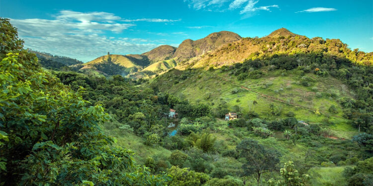 Ipatinga promove programação especial na Semana do Meio Ambiente