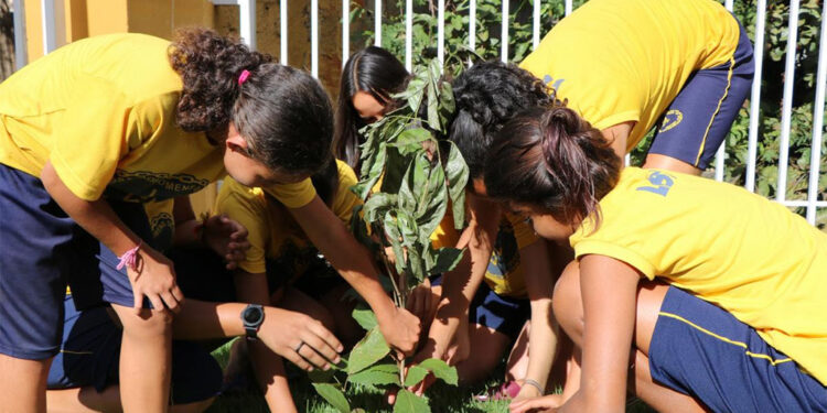LBV conscientiza crianças e jovens em ações ambientais sobre o cuidado com o planeta