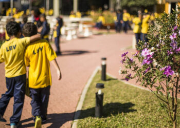 LBV celebra o Dia do Amigo com ações solidárias por todo o país